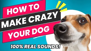 Sounds That Makes Your Dog Crazy \u0026 Bark - Beats and Sounds Official