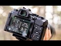 Top 5 Focus Tips & Tricks for Wildlife | Olympus OM-D