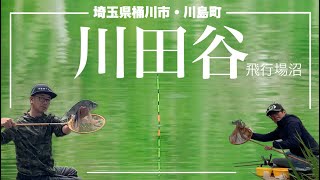 本当に野釣り！？良型揃いな川田谷 飛行場沼へらぶな釣り 埼玉県桶川市 川島町