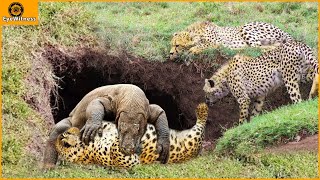 45 Incredible Clash Of Komodo Dragon VS Leopard, Buffalo, Lion, Crocodile And A Surprise Ending