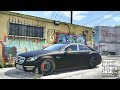 GTA 5 REAL LIFE CJ MOD #24 - GROVE ST!!!(GTA 5 REAL LIFE MODS/ THUG LIFE)