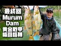 (EP75) 黄金刷眼，墨镜要戴。终于等到！那个午后异常热闹。Malaysia Sarawak Murum Dam. Sebarau /Hampala.