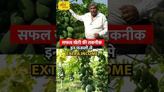 पपीते से कैसे होगी किसानों की Double Income | shorts #Papayafarming #farmersincome #doubleincome