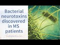 MS RESEARCH - Bacterial neurotoxins discovered in MS patients  | Pam Bartha