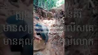 ត្បូងធម្មជាតិរតនគិរីHT56