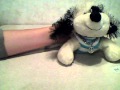 my cheeky dog,oreo,singing you and i lady gaga