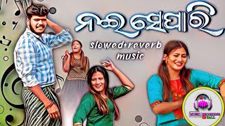 ତୁ ମୋର ନଇ ସେପାରି Tu MorNai Separi | Odia Lofi slowed reverb Album Song |Human Sagar |#music #reverb