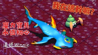 【魔力寶貝電台】永恆初心．海底世界鯊魚王 💦溫妮Winnie