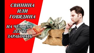 На чем вам легче заработать. Свинина или говядина. Свиноводство как бизнес.