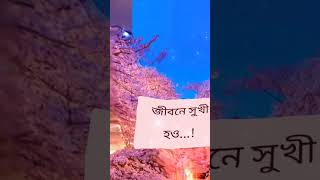 জীবনে হাসো তবে কাউকে কাঁদিয়ে নয় জীবনে সুখী হও তবে কাউকে ঠকিয়ে নয় #sad short #caption #video #foryou