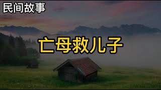 民間故事:兒子路遇亡母，亡母趕在投生前救了兒子一命!  【798民間故事會】