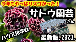 ◆絶景【サトウ園芸】ハウス見学会.2023.想像を超える美しさ！