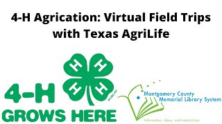 Children's Virtual Program- 4H Agrication: 4H Camp \u0026 4H Robotics