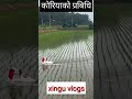 कोरियाको खेतबारीमा बीउ बिजन छर्ने ड्रोन #viralvideo #viralshort #southkorea #agriculture