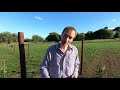 starting a vineyard from scratch part 4 vineyard trellising end post main trellis and stakes