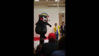 Kumamon Show at Kumamon Square