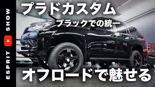 新車コンプリート　エスプリプラド製作！