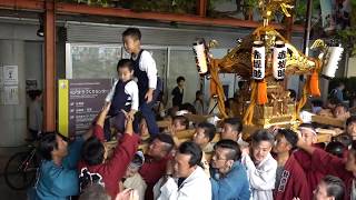 世田谷 六所神社例大祭のお神輿