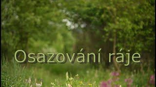 Osazování ráje - květen a trvalky