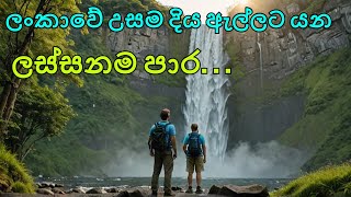 Wangedigala Bambarakanda Falls| kalupahana view point  ලංකාවේ උසම දිය ඇල්ලට යන ලස්සන පාර #TravelMe