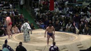 照強-竜電/2017.3.24(25)/terutsuyoshi-ryuden/day13 #sumo