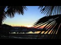 Palms & Pacific Ocean @ Sunrise / Canada