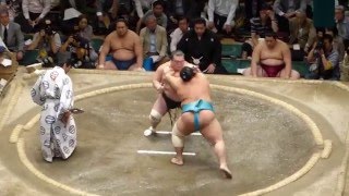 Kotoyuki (8-7) - Toyohibiki (6-9) , Sumo : Natsubasho '15