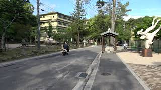 厳島神社　清盛神社から　宮島水族館まで