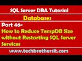 SQL Server DBA Tutorial 46-How to Reduce TempDB Size without Restarting SQL Server Services