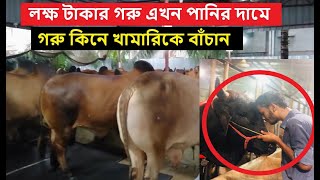 লক্ষ টাকার গরু এখন পানির দামে | কোরবানির গরু কিনে খামারিকে বাঁচান | Korbani Bazar