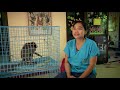 zoo vet stories ตอน การขนย้ายสัตว์ ฯลฯ 1