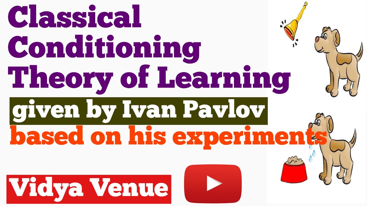 Classical Conditioning Theory Of Learning By Ivan Pavlov - YouTube