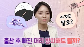 출산 후 머리가 우수수 빠지는 중..💇..아니 이러다 탈모 되는거 아니에요?