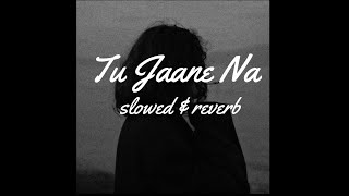 Tu Jane Na [ Slowed+Reverb ] | Arijit Singh