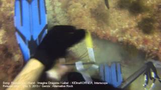 Rube Allyn Spearfishing Shark Encounter Clearwater Florida With Credits HD