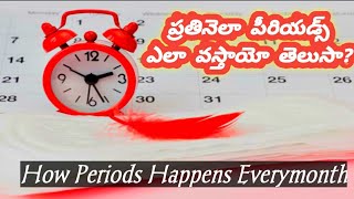 ప్రతినెలా మనకి పీరియడ్స్ ఎలా వస్తాయో తెలుసా?/How do we have Periods/BhavaniPatashalaSmartWayto Learn