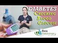 Checking your pets Blood Glucose Levels - Diabetes (Part 3)