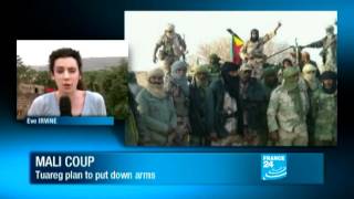 Separatist Mali rebels 'end military operations'