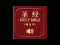 和合本圣经 • 约拿书 chinese union version bible • jonah