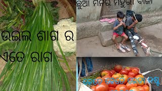 ଆଜି କାନ୍ଦି କାନ୍ଦି ରାନ୍ଦୁଚେ ଉଇଲ ଶାଗ 😂😂 ଆମ ଘରେ ବାଜା ପାର୍ଟି ଅଛେ 🤗#bend baza#kalahandia nani#vlog#