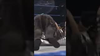 Matt Hardy Trashes Jeff Hardy