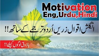 English Quotes Urdu Hindi translation with voice || best aqwal e zareen tarjamy ky sath