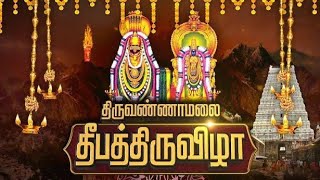 திருவண்ணாமலை கார்த்திகை தீபத்திருவிழா - 2024 கொடியேற்றம் | Tiruvannamalai Kodiyetram 2024