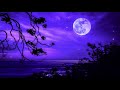 Deep Sleep Meditation Healing | Sleep Music 528Hz | Miracle Healing Frequency | Positive Energy