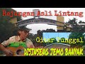 GITAR TUNGGAL BEREJUNG ASLI LINTANG SUM-SEL