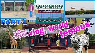 ଓଡ଼ିଆ,vlog,ଆମେ ଆସିକି ପହଞ୍ଚିଗଲୁ, world famous 😁 ନନ୍ଦନକାନନ, ଦୁଇ, tiger,ର, ଲଢେଇ, ଦୁଇ ହାତୀଙ୍କର 😁👍