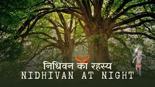 Nidhivan | Nidhivan Vrindavan at night | Nidhivan ka Rahasya | Nidhivan Video | @VEDANTRAS