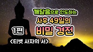 깨달음으로 인도하는 사후49일의 비밀 경전. 티벳 사자의 서 1편. 파드마삼바바