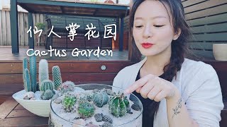 我的仙人掌花园 How to make a cactus garden