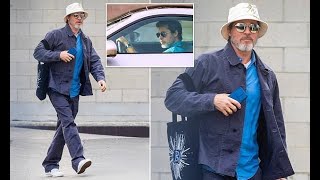 Brad Pitt sports bushy silver beard as he is seen for the first time since finalizing Angelina Jolie